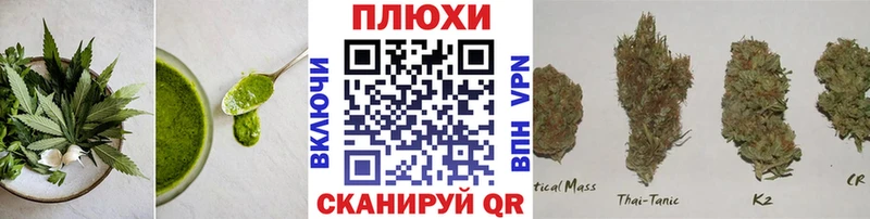 Cannafood конопля  Уссурийск 